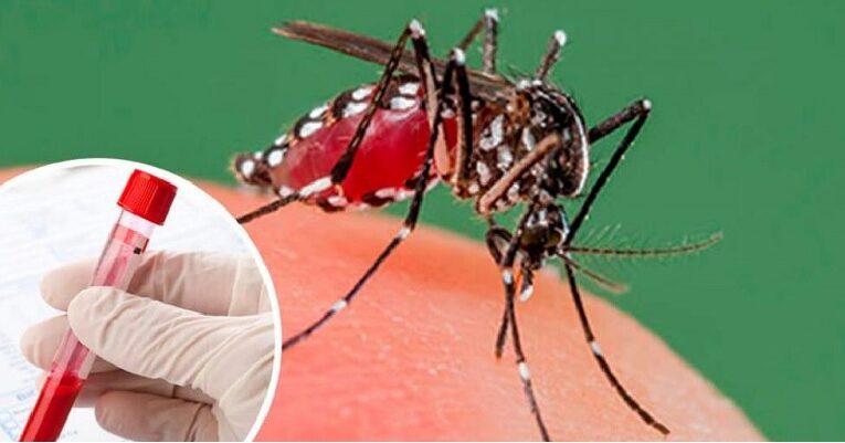 Invita Salud Sonora a intensificar acciones en contra del dengue.