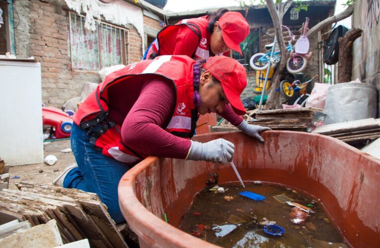 Insiste Salud Sonora en acciones contra el dengue en los hogares