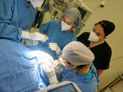 DONACION MULTIORGÁNICA EN SONORA