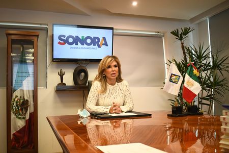 CLAUDIA PAVLOVICH QUINTO INFORME DE TRABAJO