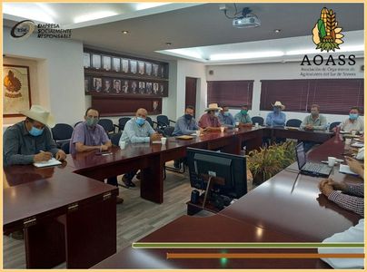 ANALIZAN IMPACTO DE LA SEQUIA EN SONORA