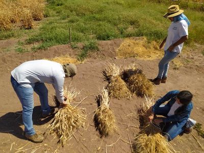 PARTICIPARA ITSON EN AGROEVENTO