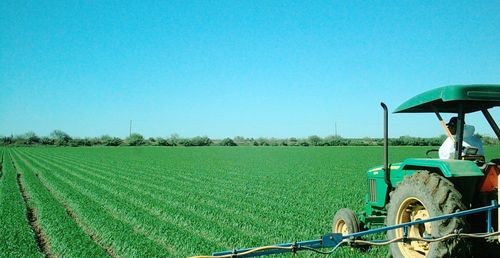 Arizona State University (ASU) e ITSON ganan premio binacional para investigación de agricultura sostenible