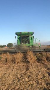 PROMUEVE SEMAGRO SIEMBRA DE SOYA DE VERANO 2021