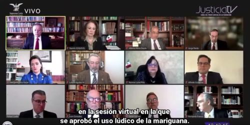 APRUEBAN LA MARIGUANA PARA AUTOCONSUMO LÚDICO O RECREATIVO