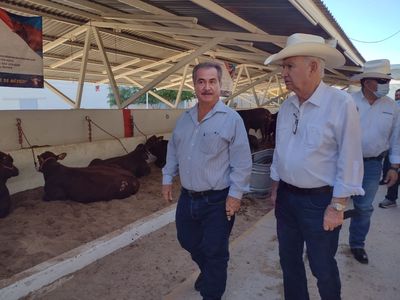 La sanidad e inocuidad serán fortalecidos en Sonora: Secretaría de Agricultura