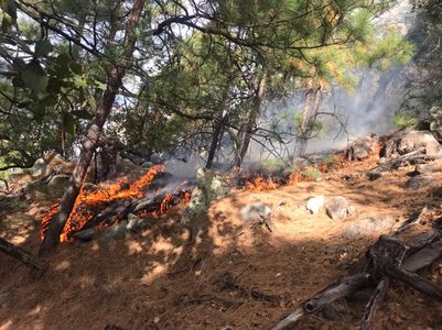 Protección Civil estatal se coordina con Conafor para sofocar incendio forestal en la sierra alta de Aconchi