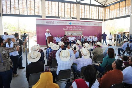 Entrega gobernador Alfonso Durazo 25 embarcaciones a pescadores de Bahía de Lobos