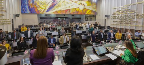 Declaran “Día Estatal de la Concientización sobre la Muerte Fetal, Neonatal e Infantil”