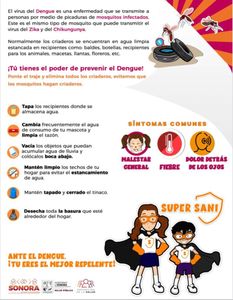 Sigamos trabajando todos contra el dengue: Salud Sonora
