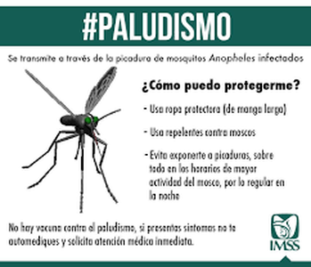 Cuenta IMSS con recursos para diagnosticar y tratar a personas con paludismo