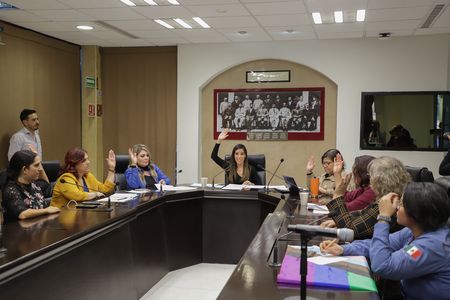 Dictaminan reformas a la legislación a favor de las mujeres y prohibición "ecosig"