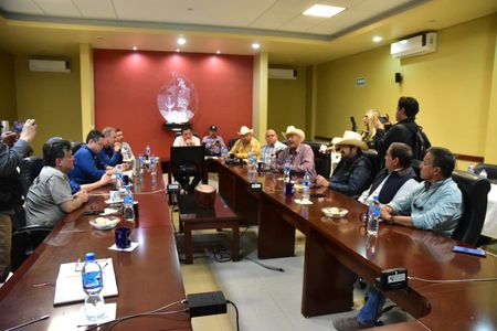 Productores de trigo requieren 2 mil mdp