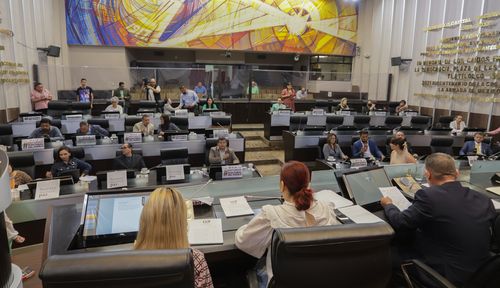 Aprueba Congreso renuncia a Guadalupe Taddei como Comisionada ISTAI