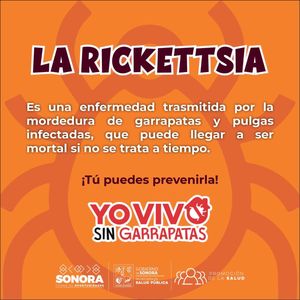 Salud Sonora llama a prevenir e identificar síntomas de rickettsia