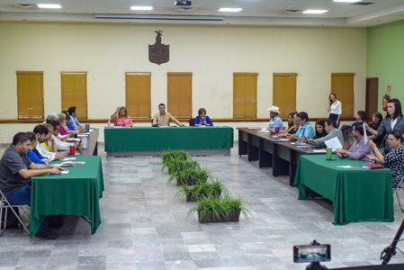 TURNA CABILDO A COMISIONES PROPUESTA COMO DISPOSICIÓN ADMINISTRATIVA DE LA INICIATIVA 3 DE 3