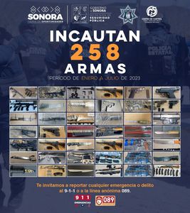 Policía Estatal retira de las calles 258 armas de fuego en lo que va del año