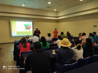 Capacitan a productores de tomate de Sonora
