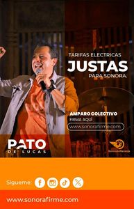 AMPARO COLECTIVO CONTRA TARIFAS ELÉCTRICAS: ERNESTO “PATO” DE LUCAS