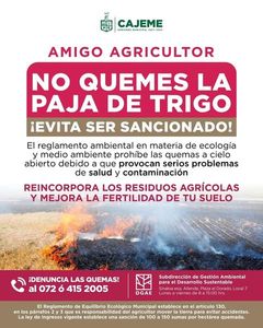 EXHORTA ECOLOGÍA A PRODUCTORES DEL VALLE DEL YAQUI EVITAR LA QUEMA DE GAVILLA