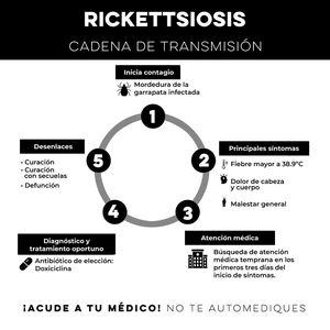 Defunciones por rickettsia disminuyen un 50 por ciento en Sonora