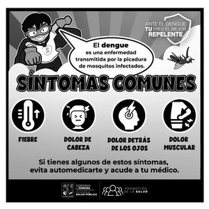 Salud Sonora llama a prevenir el dengue