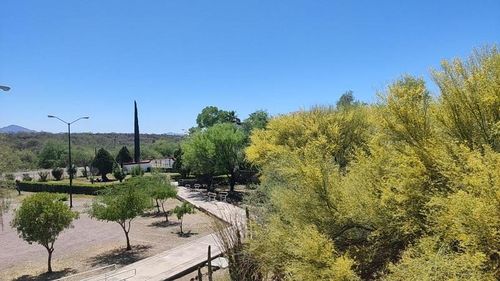 Promueve Universidad de la Sierra conservación de plantas nativas del desierto sonorense