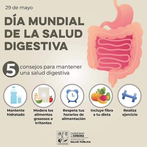 Salud Sonora recomienda mantener una alimentación sana y evitar problemas digestivos