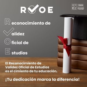 Exhorta SEC a consultar instituciones que cuentan con Reconocimiento de Validez Oficial de Estudios