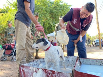 IMPACTA FAVORABLEMENTE JORNADA DE SALUD CANINA Y FELINA EN LA MAXIMILIANO R. LÓPEZ