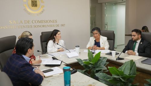 Comisión de Salud aprueba iniciativas para la atención psicológica, prevención del suicidio y salud mental