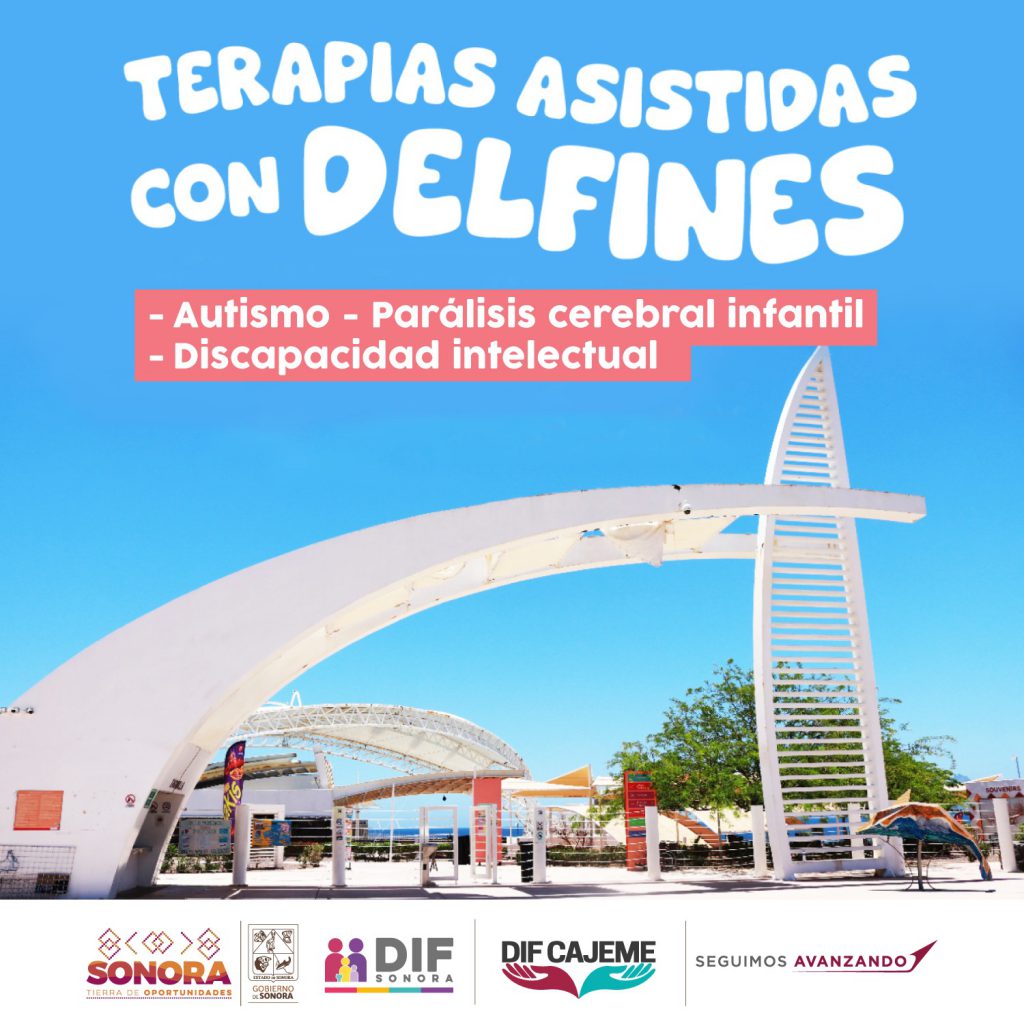 DIF Cajeme abrió convocatoria para terapia asistida con delfines