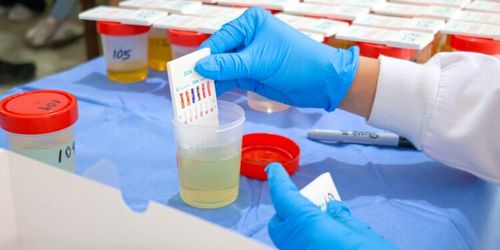 Aplican exámenes toxicológicos a 300 elementos operativos de seguridad pública en Cajeme