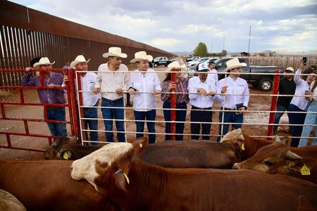 Gobernador Durazo reanuda exportación de ganado a Estados Unidos; Sonora es el primer estado en México