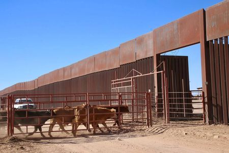 Anuncia Gobernador Durazo próxima reapertura para cruce de ganado por Agua Prieta a Estados Unidos*