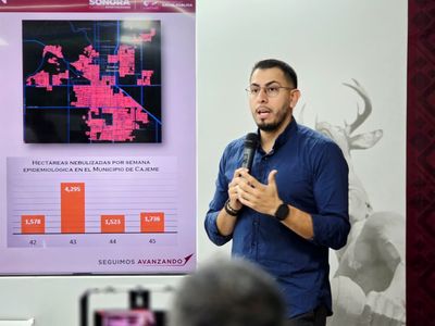 Incrementan en Cajeme acciones de prevención y lucha contra el dengue