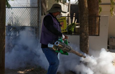 Gobierno de Sonora informa que no se han confirmado defunciones por dengue