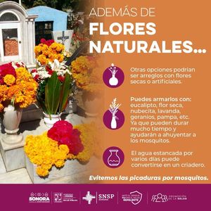 Exhorta Gobierno de Sonora a reforzar acciones preventivas contra el dengue durante el Día de Muertos