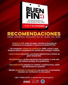 Brinda Unidad Cibernética orientación para evitar fraudes por “Buen Fin”