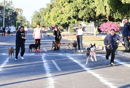 Ayuntamiento impulsa sano esparcimiento con nueva edición “DOMINGUEANDO EN BICI Y +”