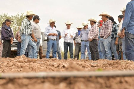 Con liderazgo de Gobernador Durazo se fortalece el campo sonorense; crece 18% actividad primaria