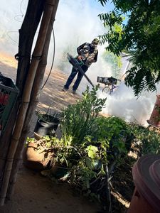 Salud Sonora registra cifra histórica en fumigación durante 2025