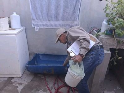 Exhorta Secretaría de Salud a mantener la limpieza del hogar para prevenir la rickettsia