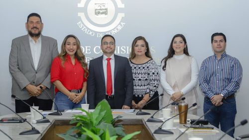 Aprueba comisión del Congreso de Sonora convocatoria para renovar la presidencia de la CEDH
