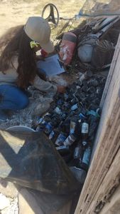 Refuerza Salud Sonora acciones contra el dengue tras lluvias en el estado