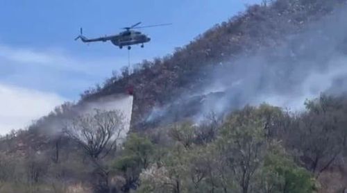 Alcanza CEPC 70 por ciento de control en incendio forestal de Arivechi