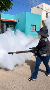 Mantener patios y viviendas limpias es la medida más efectiva contra el dengue; la fumigación complementa la prevención