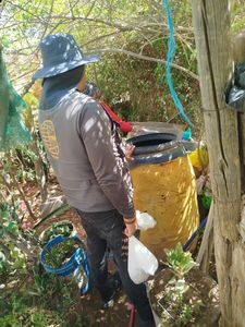 Recientes lluvias favorecen la presencia del mosquito transmisor del dengue; Salud Sonora llama a prevenir eliminando criaderos