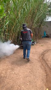 Salud Sonora exhorta a eliminar criaderos de mosquitos tras las lluvias registradas en el estado