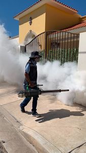 Impulsa Salud Sonora medidas preventivas para evitar el dengue